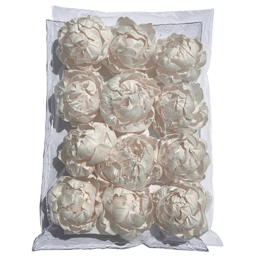 【Sola Flower】M-12 Peony
