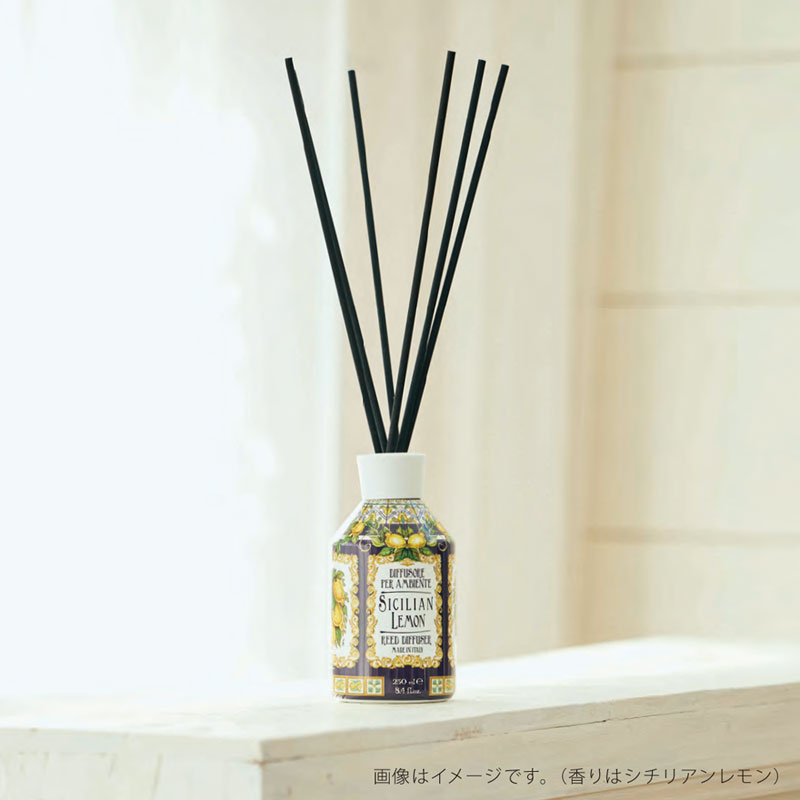 【Rudy】ル・マヨルカ ディフューザー <サレントの香り>