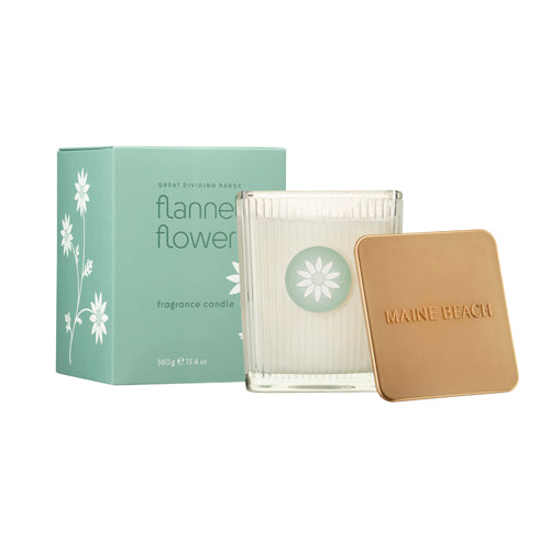 【MAINE BEACH】フレグランス キャンドル <フランネルフラワーの香り>