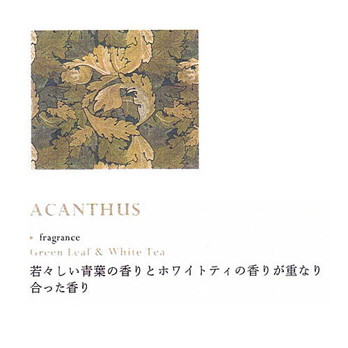 【RETELLINGS OF CLASSIC】ワックスサシェ <グリーンリーフ・ホワイトティの香り>