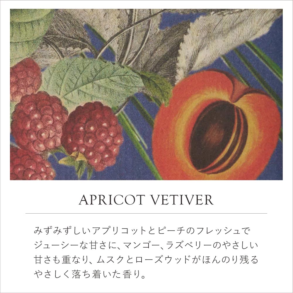 【THE ENGLISH SOAP COMPANY】 KEW GARDEN キューガーデン ハンドウォッシュ <アプリコット&ベチバー>