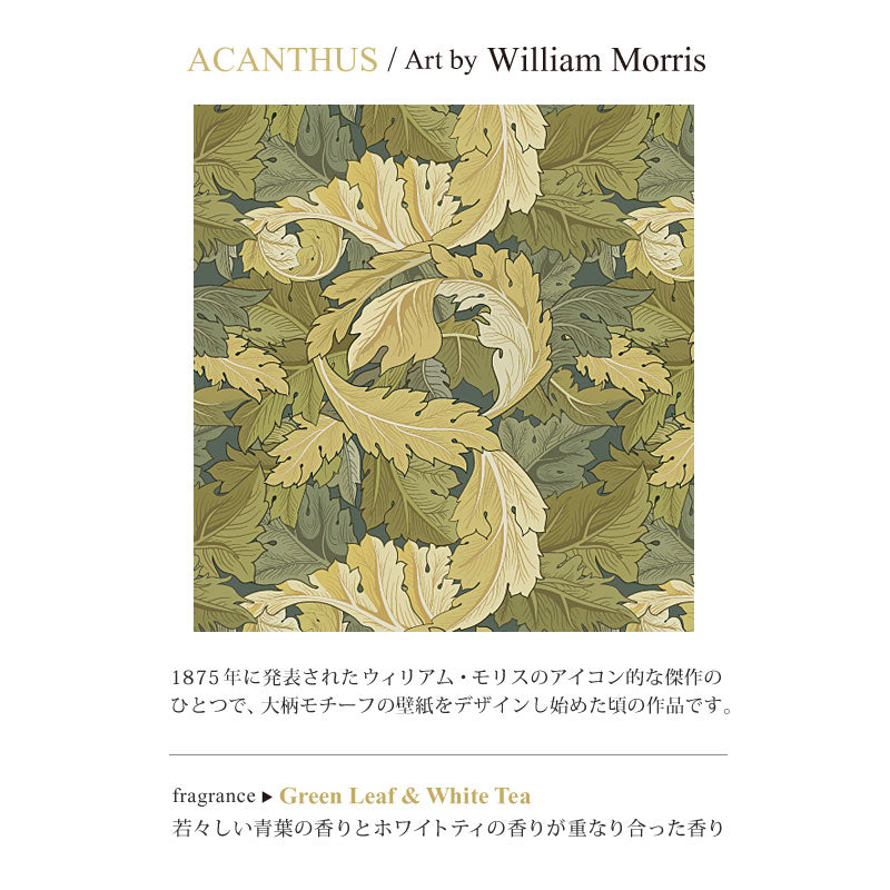 【RETELLINGS OF CLASSIC】 ワードローブサシェ <グリーンリーフ・ホワイトティの香り>