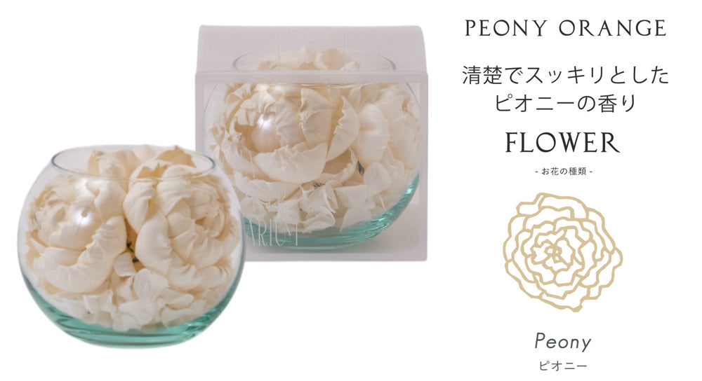 【香り付 Sola Flower】ソラフラワー ソラリウム（グラスボウル）・香り：ピオニーオレンジ・花の形：ピオニー