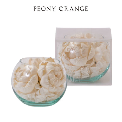 【Sola Flower】【香り付き】ソラフラワー ソラリウム ＜ ピオニーオレンジ ＞