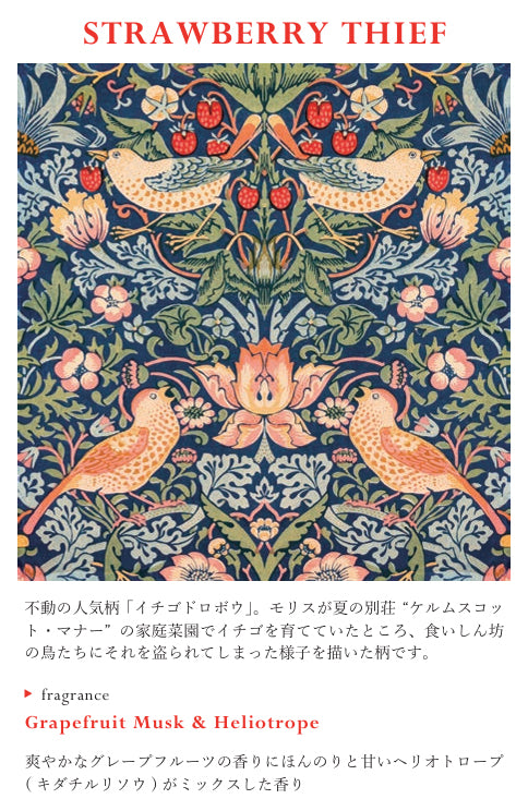 ＜特別キャンペーン＞ RETELLINGS OF CLASSIC Art by William Morris：STRAWBERRY THIEF
