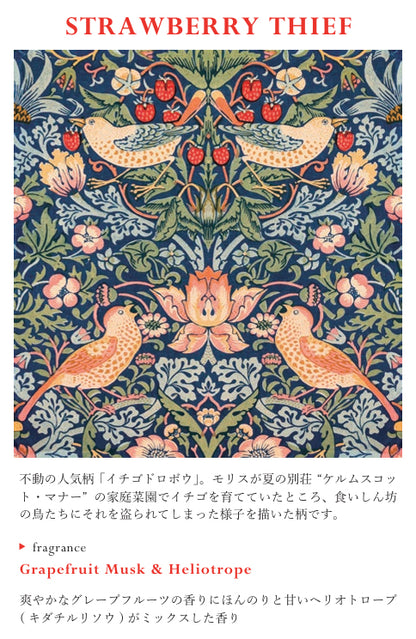 ＜特別キャンペーン＞ RETELLINGS OF CLASSIC Art by William Morris：STRAWBERRY THIEF