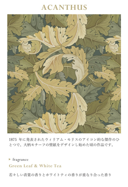 ＜特別キャンペーン＞ RETELLINGS OF CLASSIC Art by William Morris：ACANTHUS