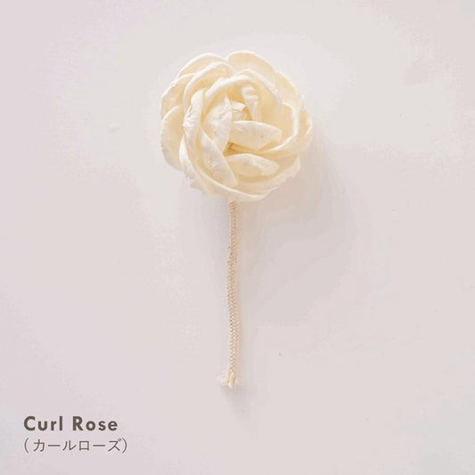 【Sola Flower KIT＆DIY COLLECTION】ソラフラワー with ロープ・花の形：Curl Rose カールローズ