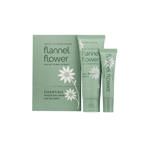 MAINE BEACH マインビーチ Flannel Flower フランネルフラワー Essential DUO Pack エッセンシャルデュオパック