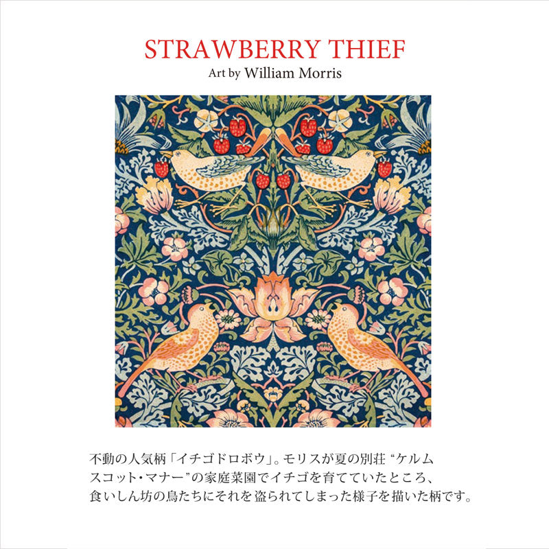 RETELLINGS OF CLASSIC】ソラフラワー ディフューザー