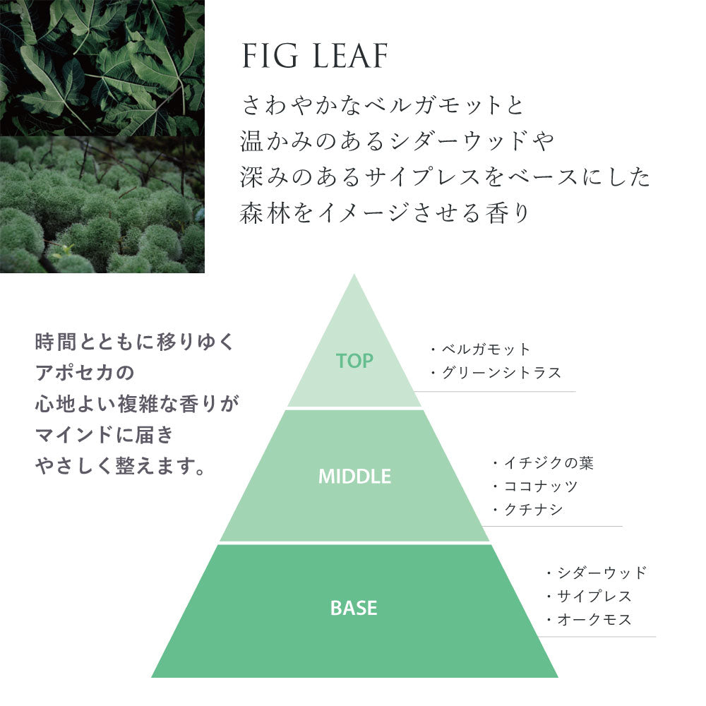 【Urban Rituelle】APOTHECA アポセカ ソイキャンドル 140g ＜フィグリーフ＞