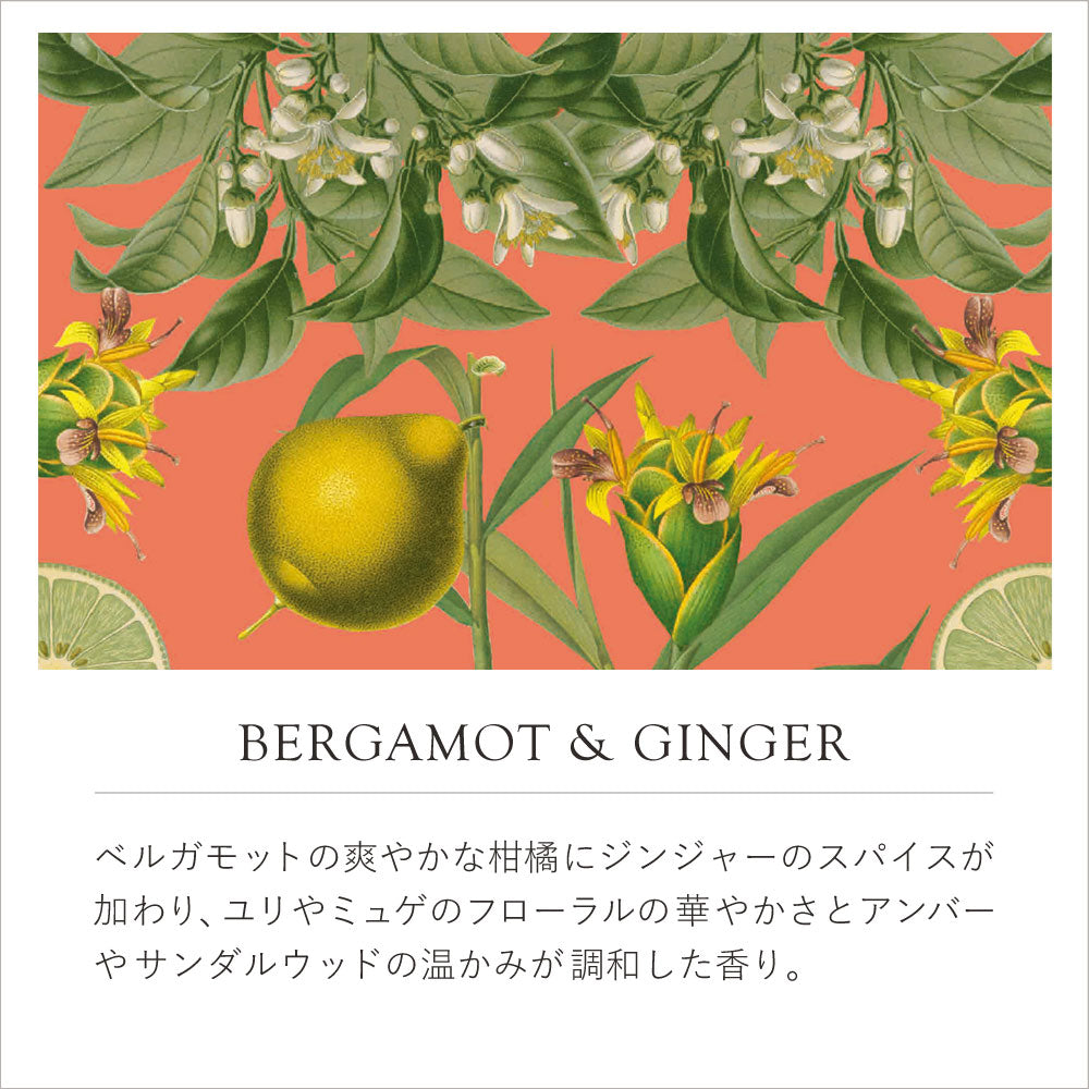 THE ENGLISH SOAP COMPANY】KEW GARDEN ラグジュアリーシアバター