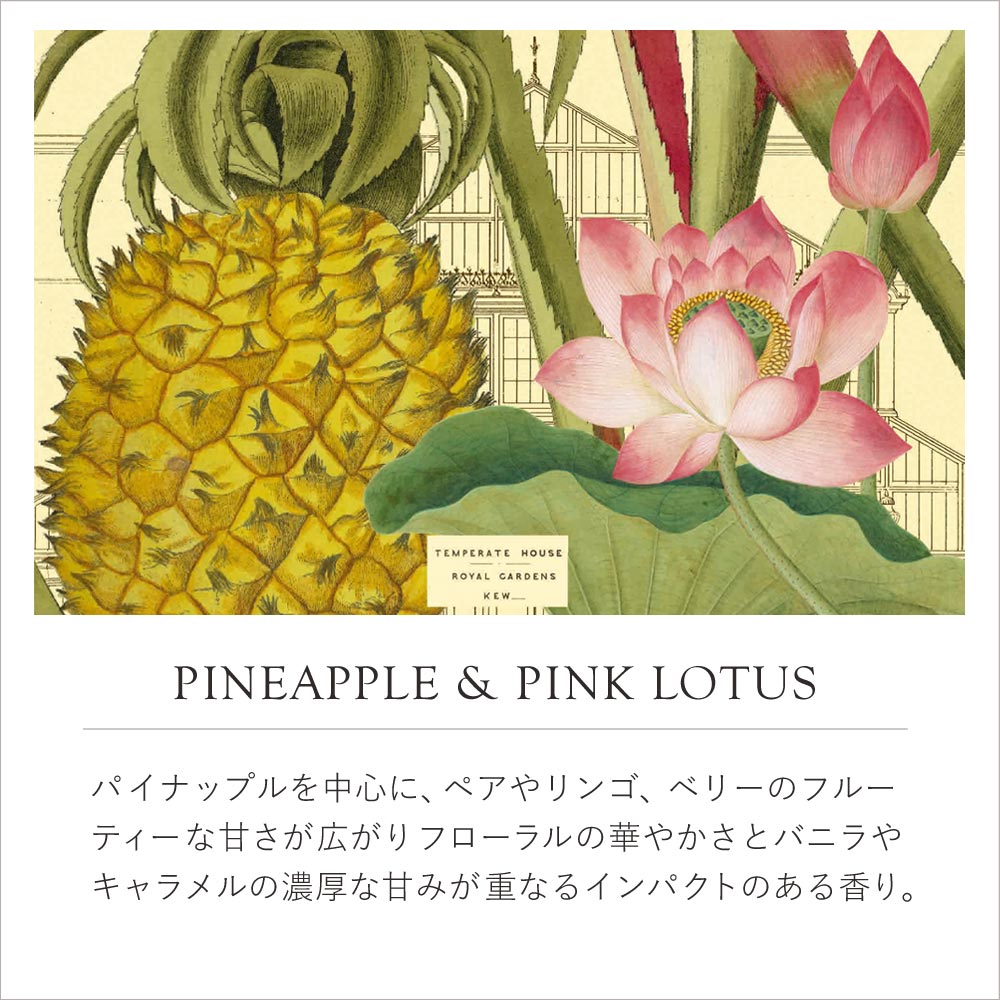THE ENGLISH SOAP COMPANY】KEW GARDEN ラグジュアリーシアバター