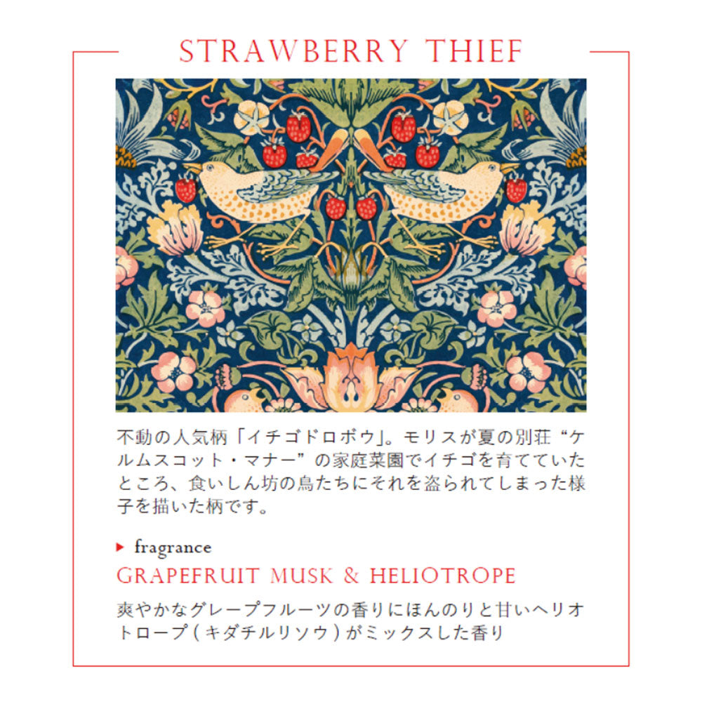 【RETELLINGS OF CLASSIC】ソラフラワー ディフューザー  ＜グレープフルーツ・ムスク・ヘリオトロープの香り＞ Art by William Morris ウィリアム・モリス