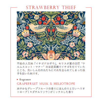 【RETELLINGS OF CLASSIC】ソラフラワー ディフューザー  ＜グレープフルーツ・ムスク・ヘリオトロープの香り＞ Art by William Morris ウィリアム・モリス