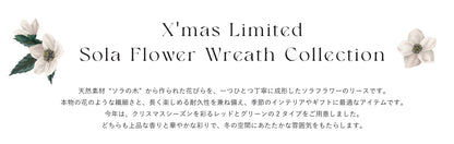 【限定】【X‘mas Sola Flower】ソラフラワー クリスマス エレガントリース・ジャスミンピーチ