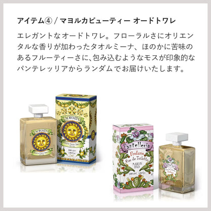 【福袋】Happy Bag 2026 ル・マヨルカセット