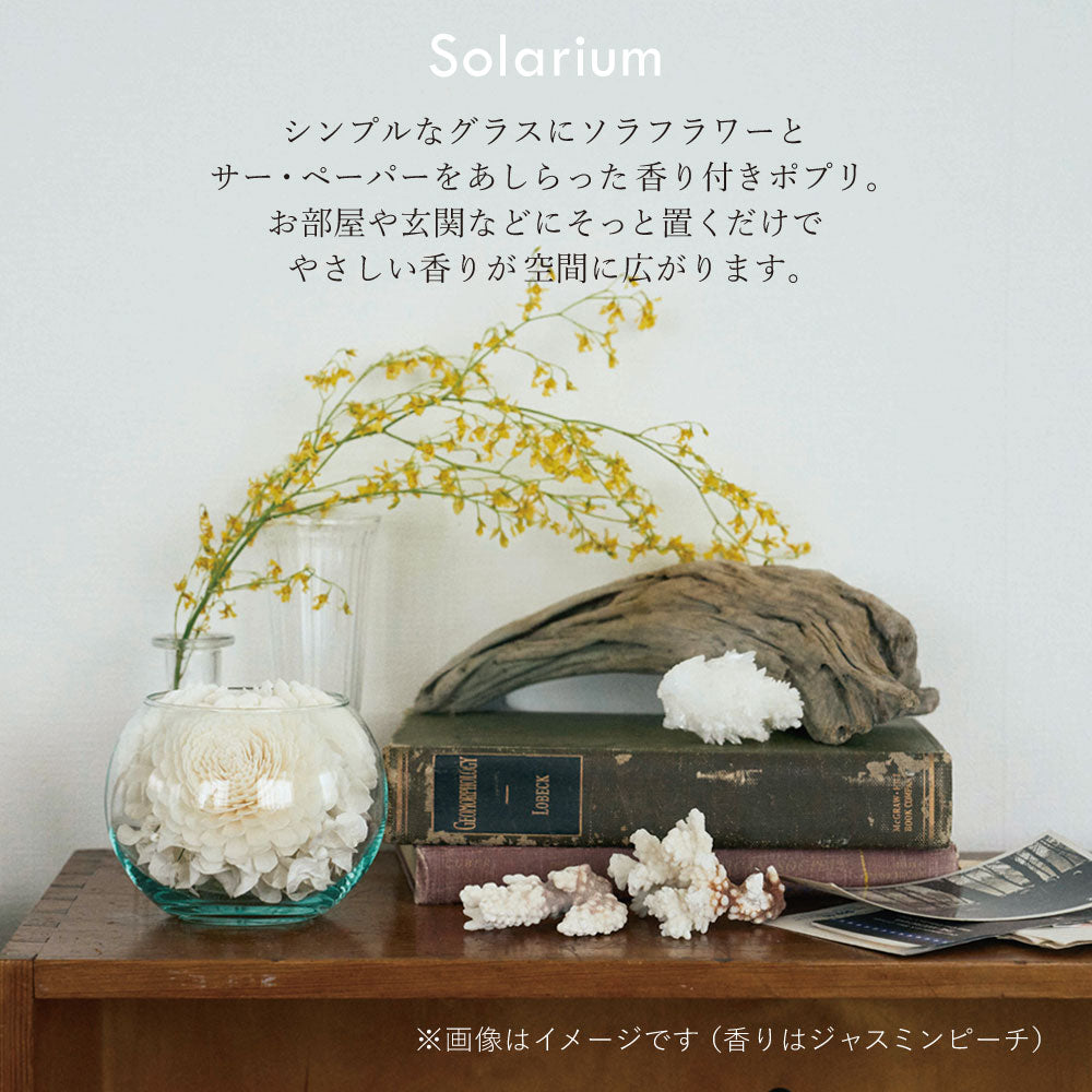 Sola Flower】【香り付き】ソラフラワー ソラリウム ＜ ジャスミン